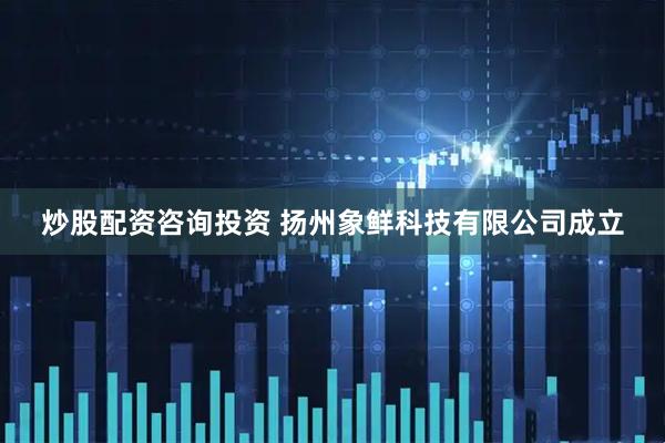 炒股配资咨询投资 扬州象鲜科技有限公司成立