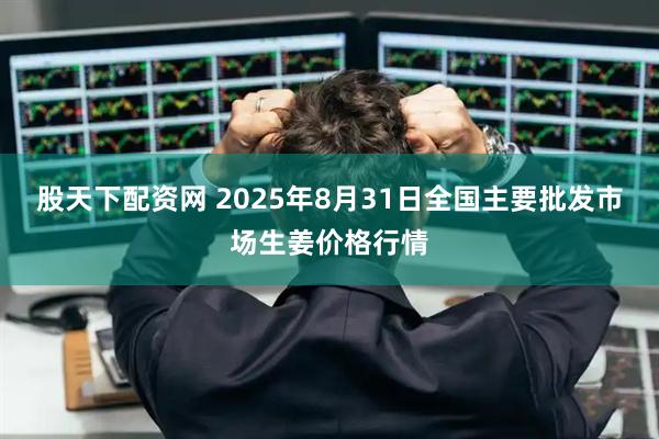 股天下配资网 2025年8月31日全国主要批发市场生姜价格行情