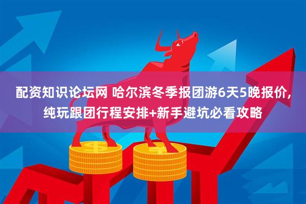 配资知识论坛网 哈尔滨冬季报团游6天5晚报价,纯玩跟团行程安排+新手避坑必看攻略